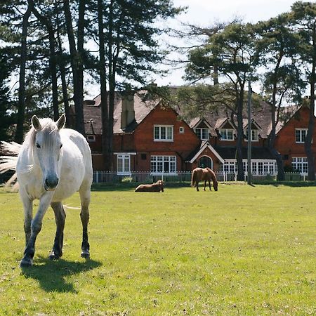 Beaulieu Hotel Линдхърст Екстериор снимка